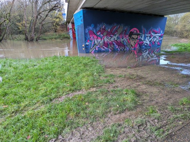 Under the Bader Way bridge (formaly the star-wars bridge) the water is over its banks but not yet reaching the path.