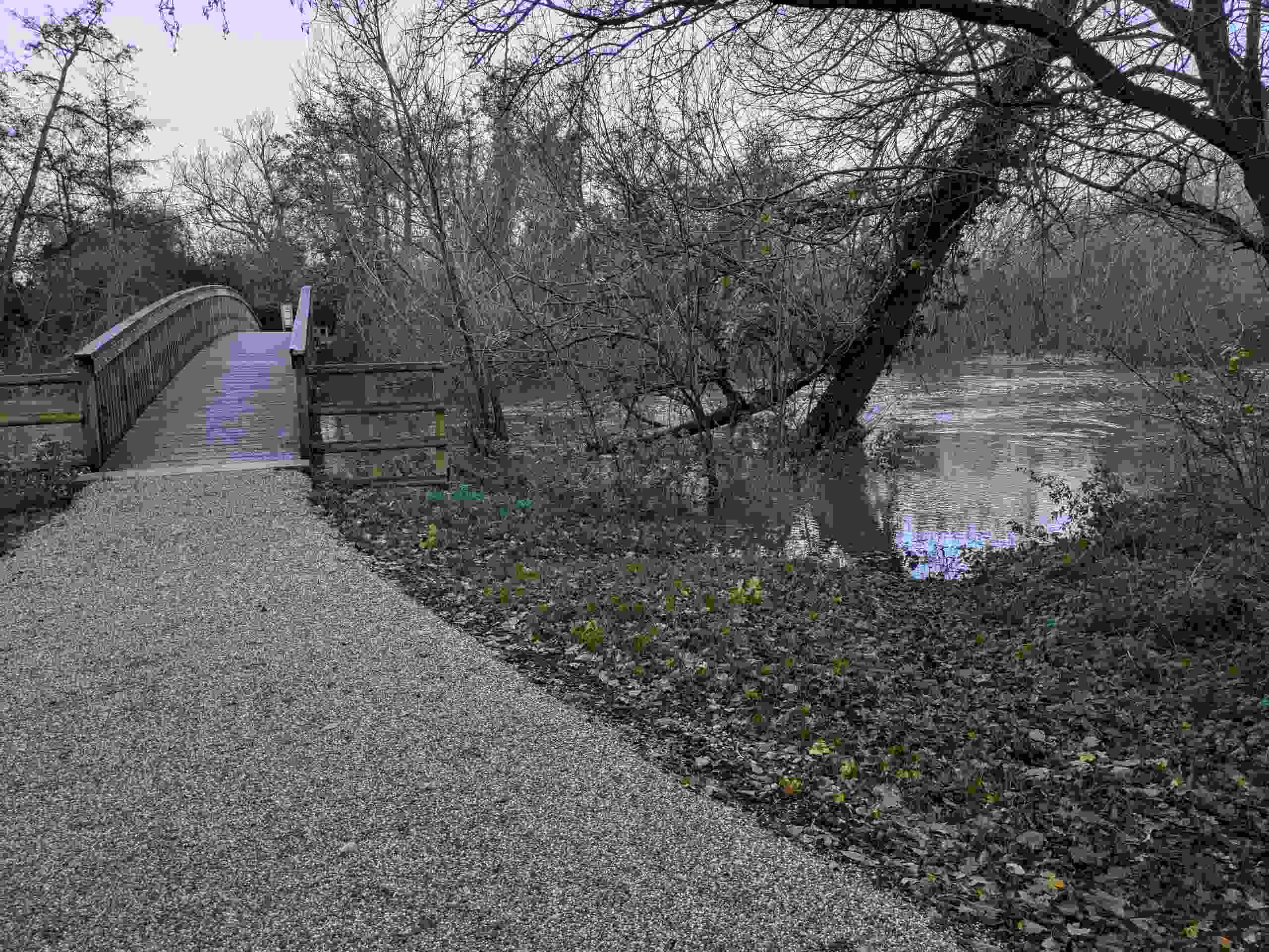 View of Mortimers' Meadow Bridge. Water is hiugh but below bridge.