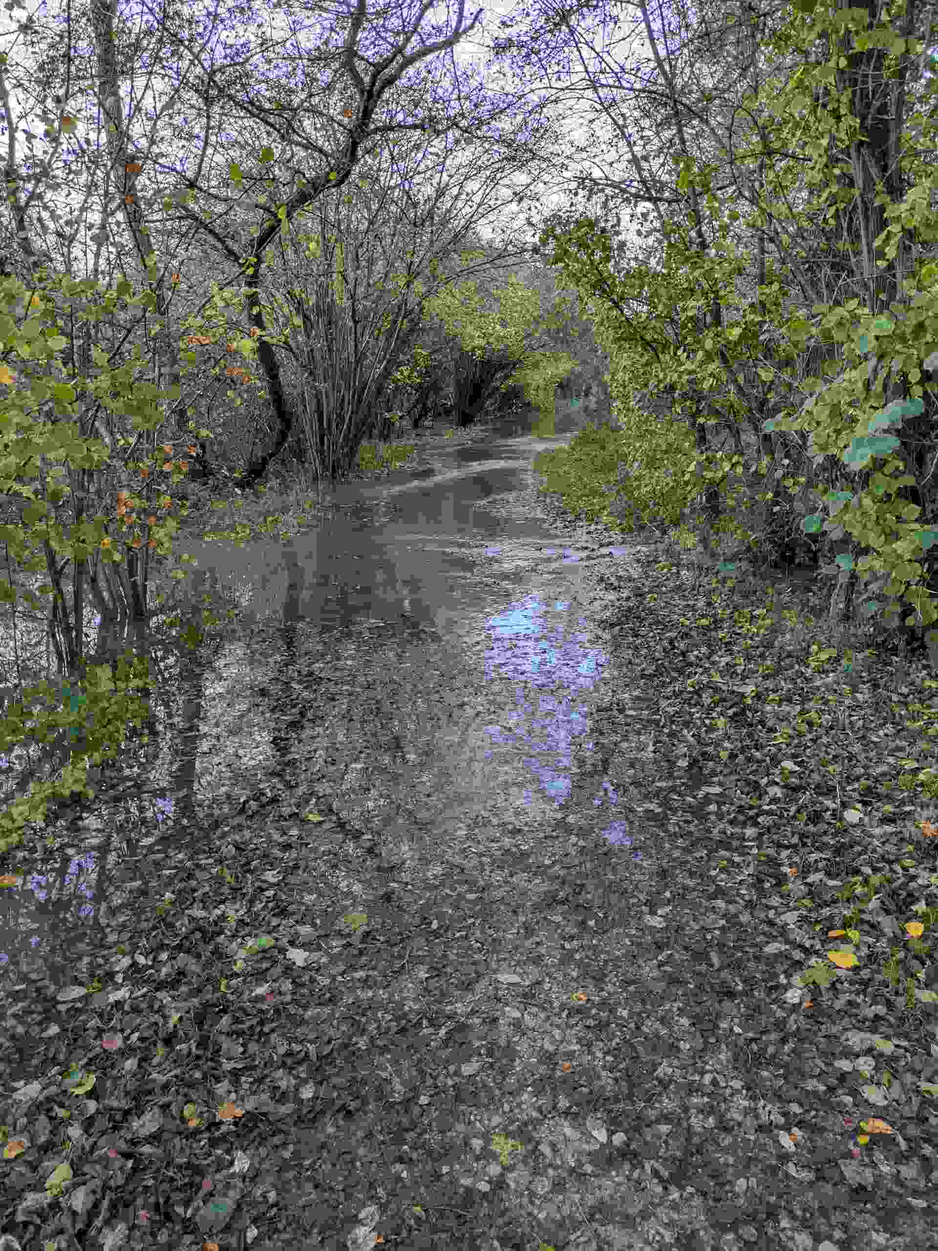 View of the path near the Mortimers' Meadow Bridge whowing path underwater already at this distance.