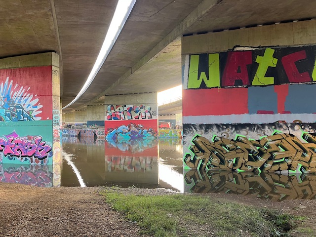 View under the A329M bridge but from the other side of the river to usual.  River goes from far fence to close to the observer.